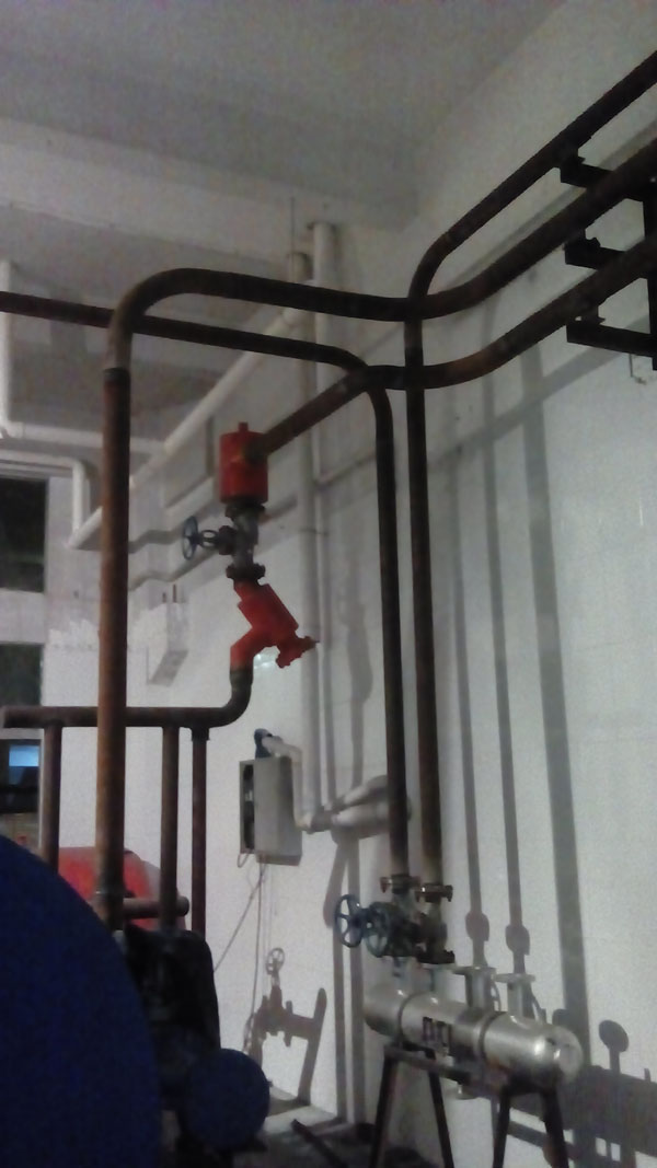 绿雪生物工程深圳锅炉设备及车间管道安装工程（图二）